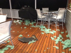 Wrecked bed