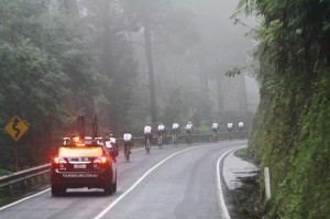 The peloton making its way through the Black Spur.