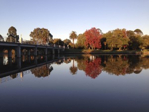 Beautiful Autumn colours in Benalla at Dawn. Temp almost 0.