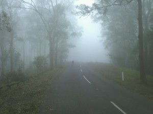 foggy morning